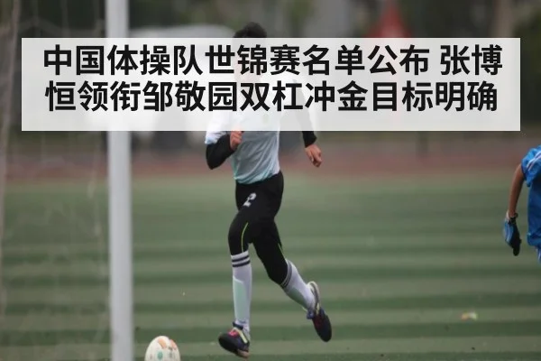 中国体操队世锦赛名单公布 张博恒领衔邹敬园双杠冲金目标明确（xingkong）
